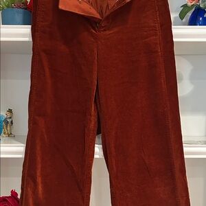 Anthropologie Men's Corduroy Pants in Rich Brown
